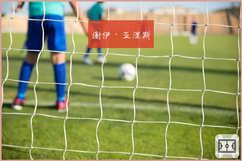 谢伊·亚涅斯