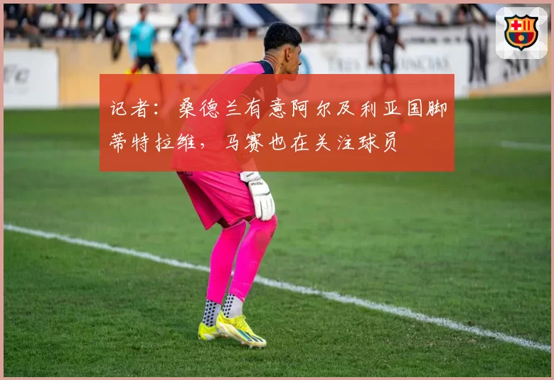 记者：桑德兰有意阿尔及利亚国脚蒂特拉维，马赛也在关注球员