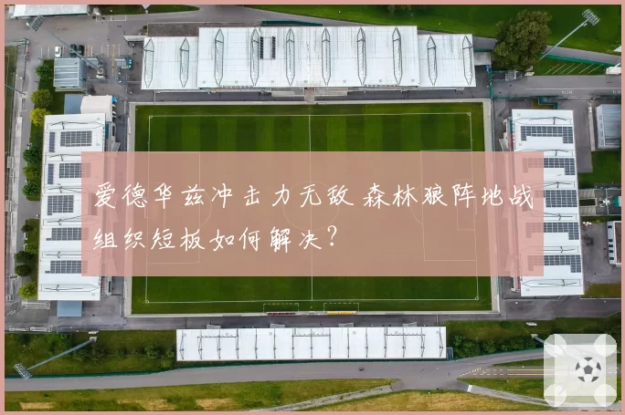 爱德华兹冲击力无敌 森林狼阵地战组织短板如何解决？