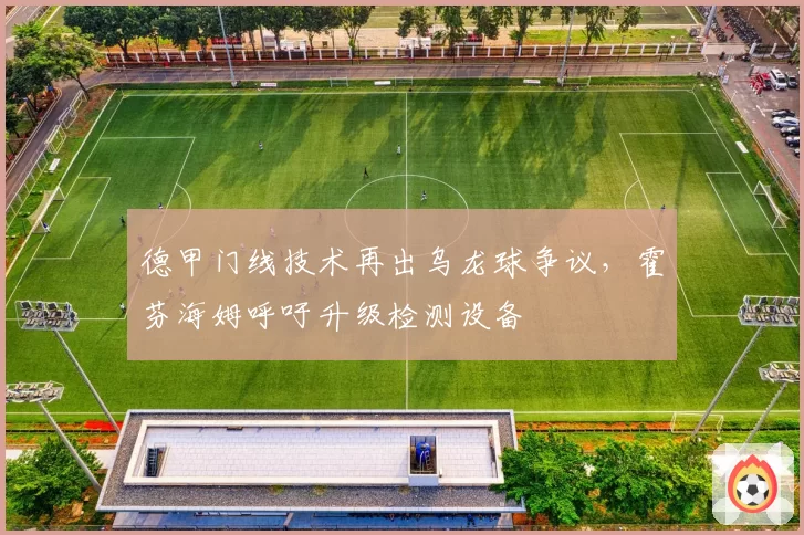 德甲门线技术再出乌龙球争议,霍芬海姆呼吁升级检测设备