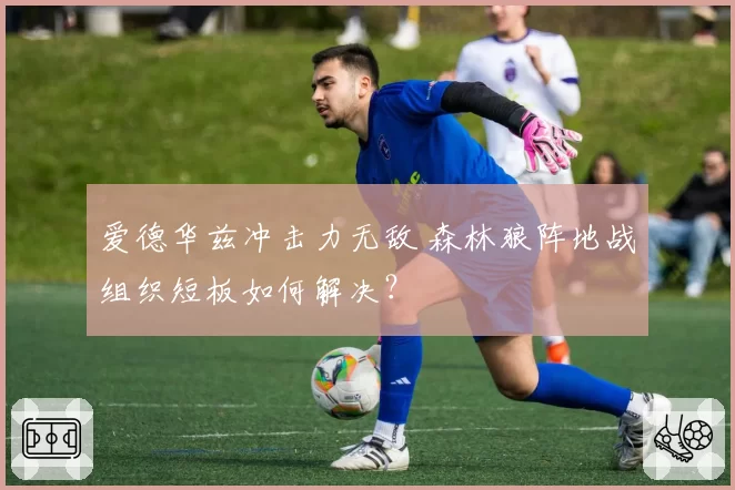 爱德华兹冲击力无敌 森林狼阵地战组织短板如何解决？