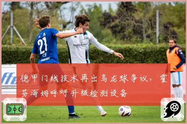 德甲门线技术再出乌龙球争议,霍芬海姆呼吁升级检测设备