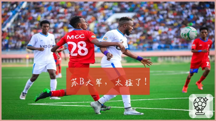 苏B大军,太猛了!